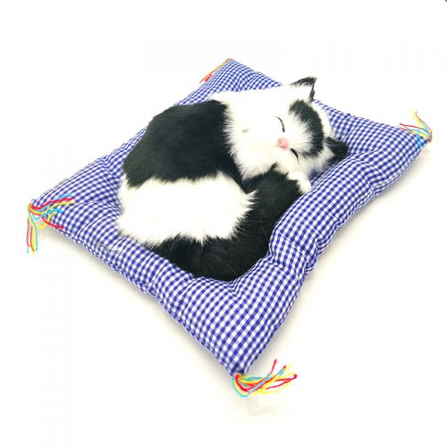 minderde-uyuyan-kedi-sesli5