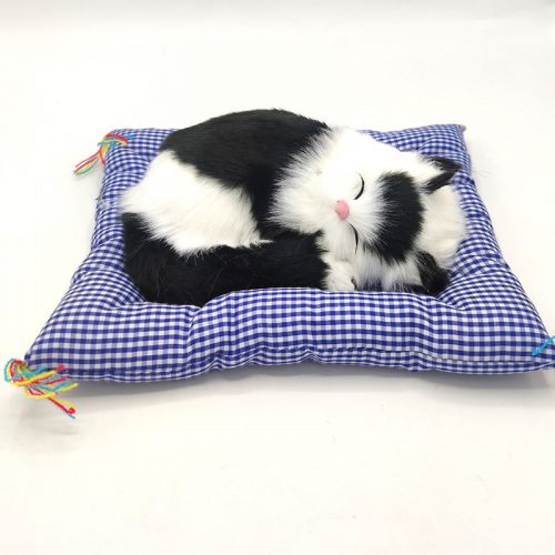 Minderde Uyuyan Kedi