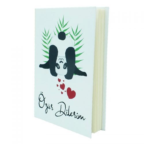 panda-ozur-dilerim-hediyesi2