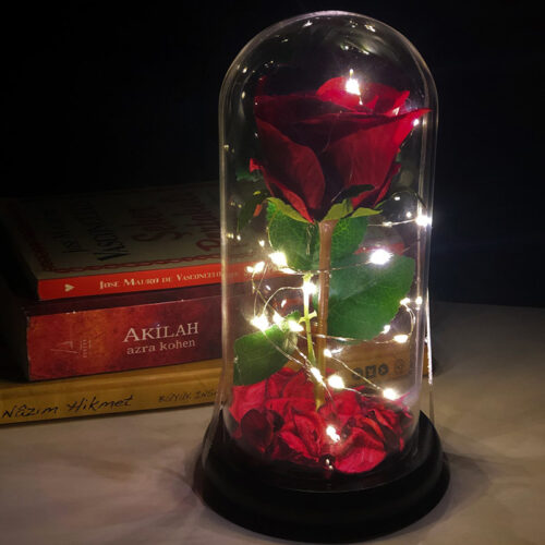 fanus-icinde-gul-hediye