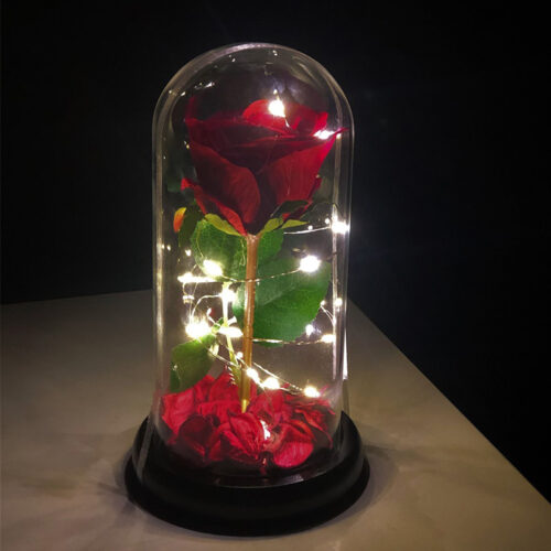 Fanus İçinde Işıklı Gül