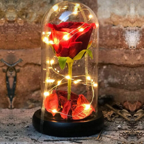 fanus-icinde-isikli-gul