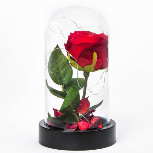 fanus-icinde-isikli-gul2