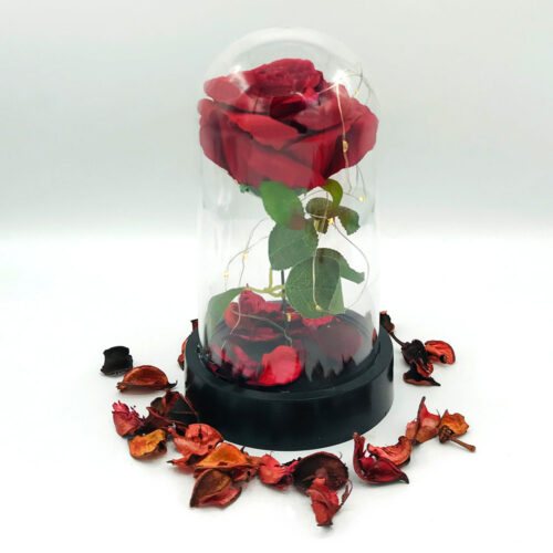 fanus-icinde-isikli-gul5