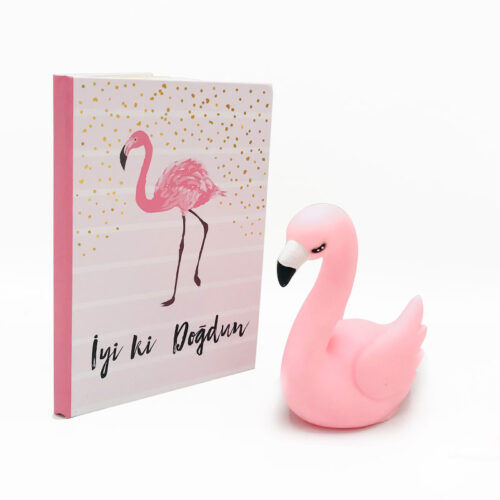 Flamingo İyi Ki Doğdun Seti