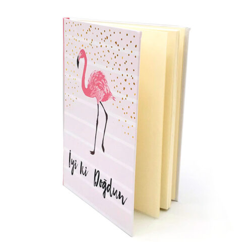 flamingo-iyiki-dogdun-seti4