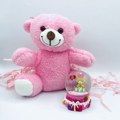 iyiki-dogdun-ayicik-ve-kar-kuresi3