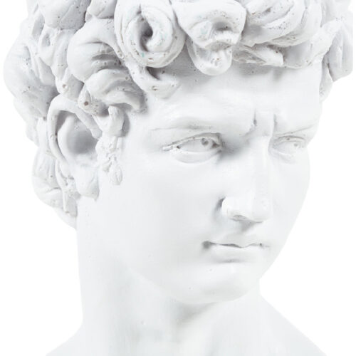 duz-beyaz-davut-biblo4