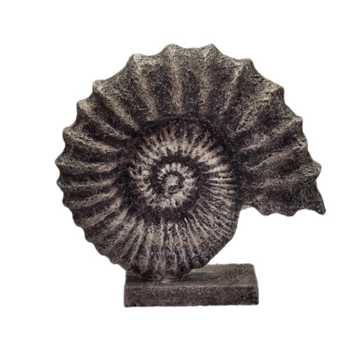 Büyük Salyangoz Biblo