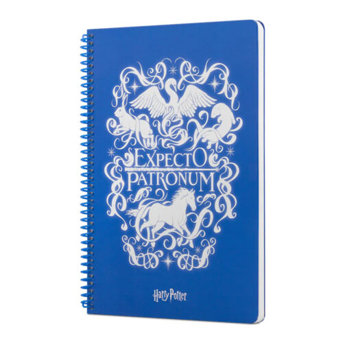Harry Potter Expecto Spiralli Defter