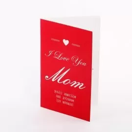 Seni Seviyorum Anne Kitapçığı (I Love You Mom )