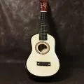 kisiye-ozel-gitar