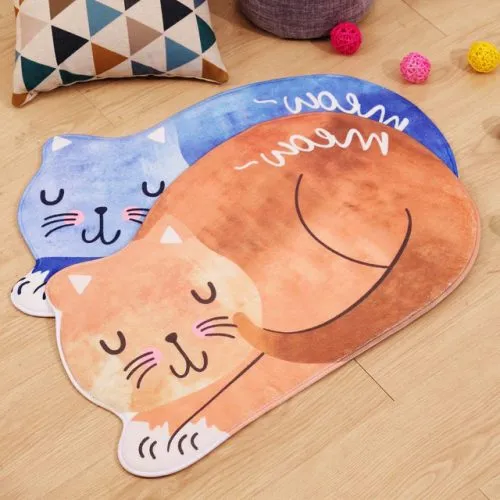 Kedi Paspas