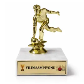 Bowling Award Cup