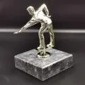 en-iyi-bilardo-odulu