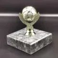 altin-top-odul-kupa2