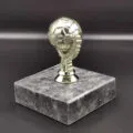 altin-top-odul-kupa3