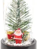 fanus-icinde-noel-baba2