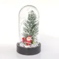 fanus-icinde-noel-baba3