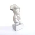 Kadin Tors Biblo
