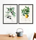 Limon ve Zeytin Dali Cerceve Seti Siyah