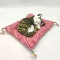 minderde-uyuyan-kedi-sesli4