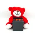 ayicik-hediye-seti