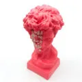 pembe-davut-biblo5