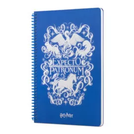Harry Potter Expecto Spiralli Defter