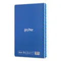 harry-potter-expecto-spiralli-defter2